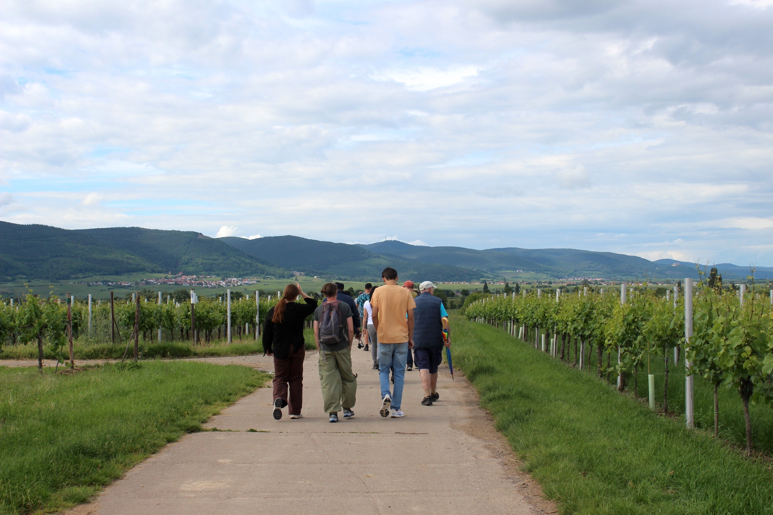 Read more about the article Nachbericht zur Wanderung von Leben im Dorf